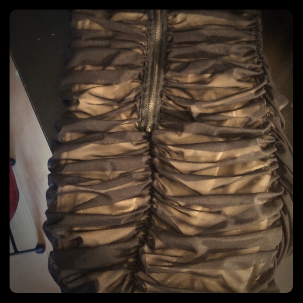 Forever 21 Sheer Ruched Bodycon Tube Dreaa